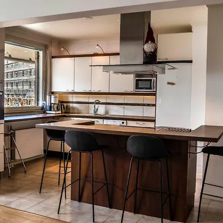 Huoneisto Paasi & Kivi *